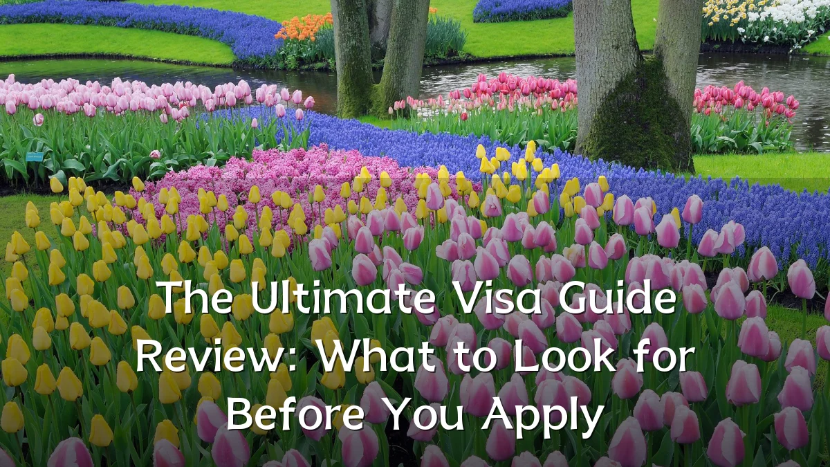 The Ultimate Visa Guide Review: What to Look for Before You Apply