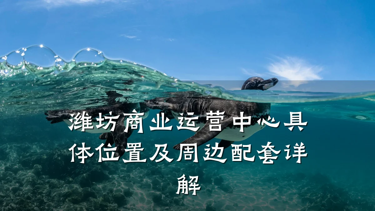 潍坊商业运营中心具体位置及周边配套详解