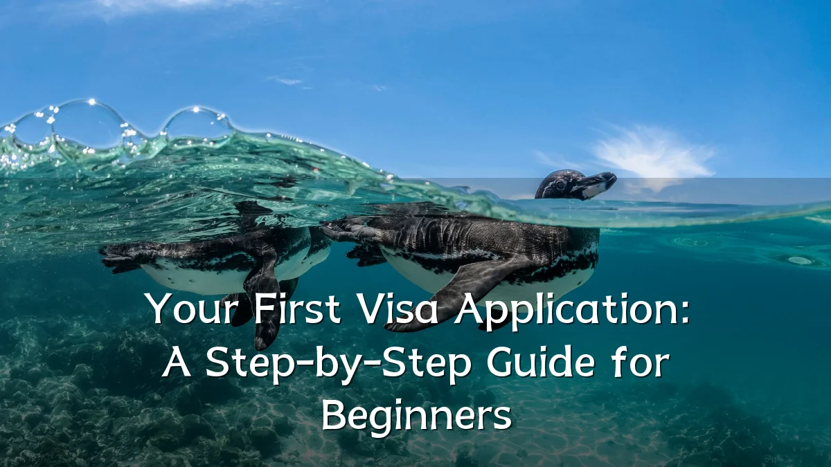 Your First Visa Application: A Step-by-Step Guide for Beginners