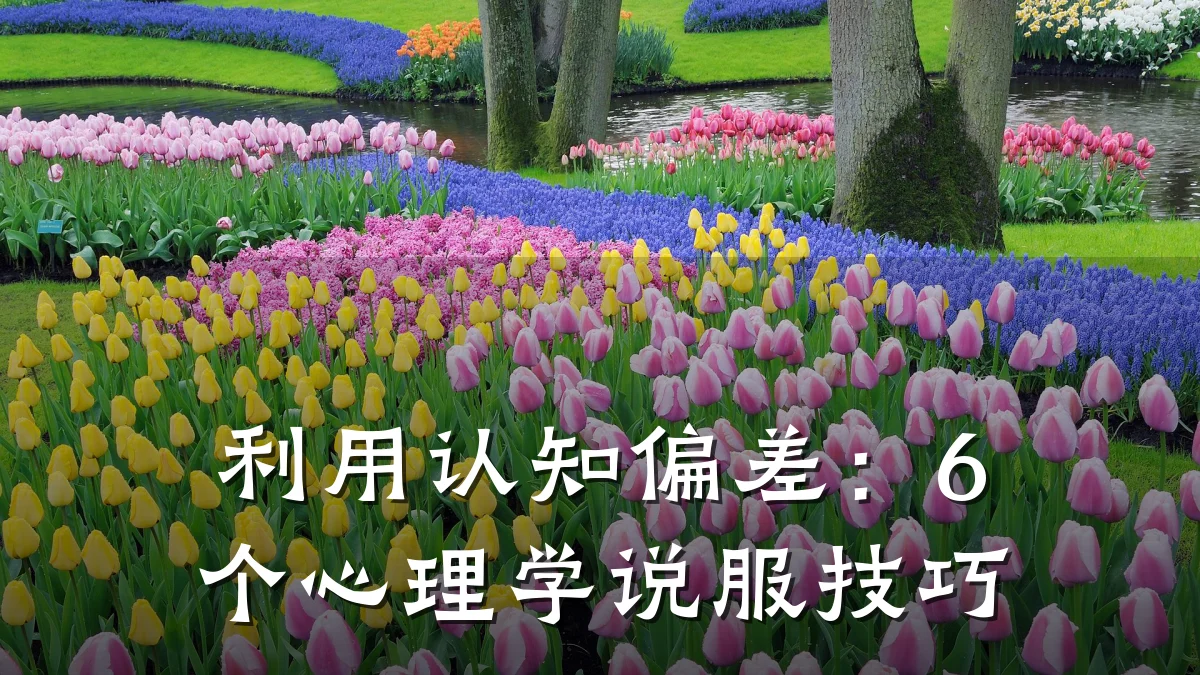 利用认知偏差：6个心理学说服技巧