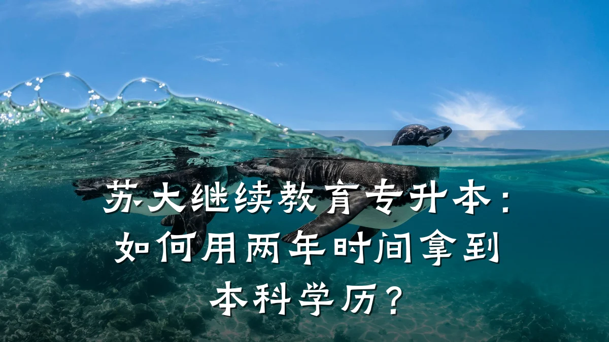 苏大继续教育专升本：如何用两年时间拿到本科学历？